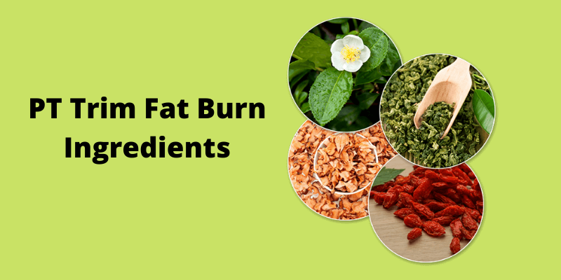 PT Trim Fat Burn ingredients