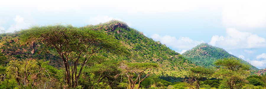Kenya's Nandi Hills