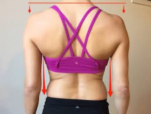 possibles causes of back fat (slouching)